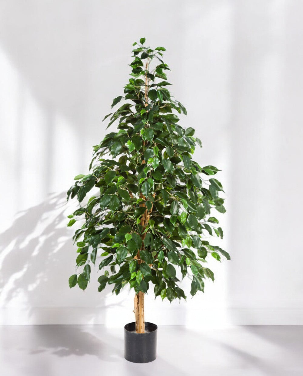 8FW32205N Natural Exotica Tree 150