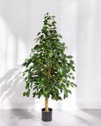 8FW32205N Natural Exotica Tree 150