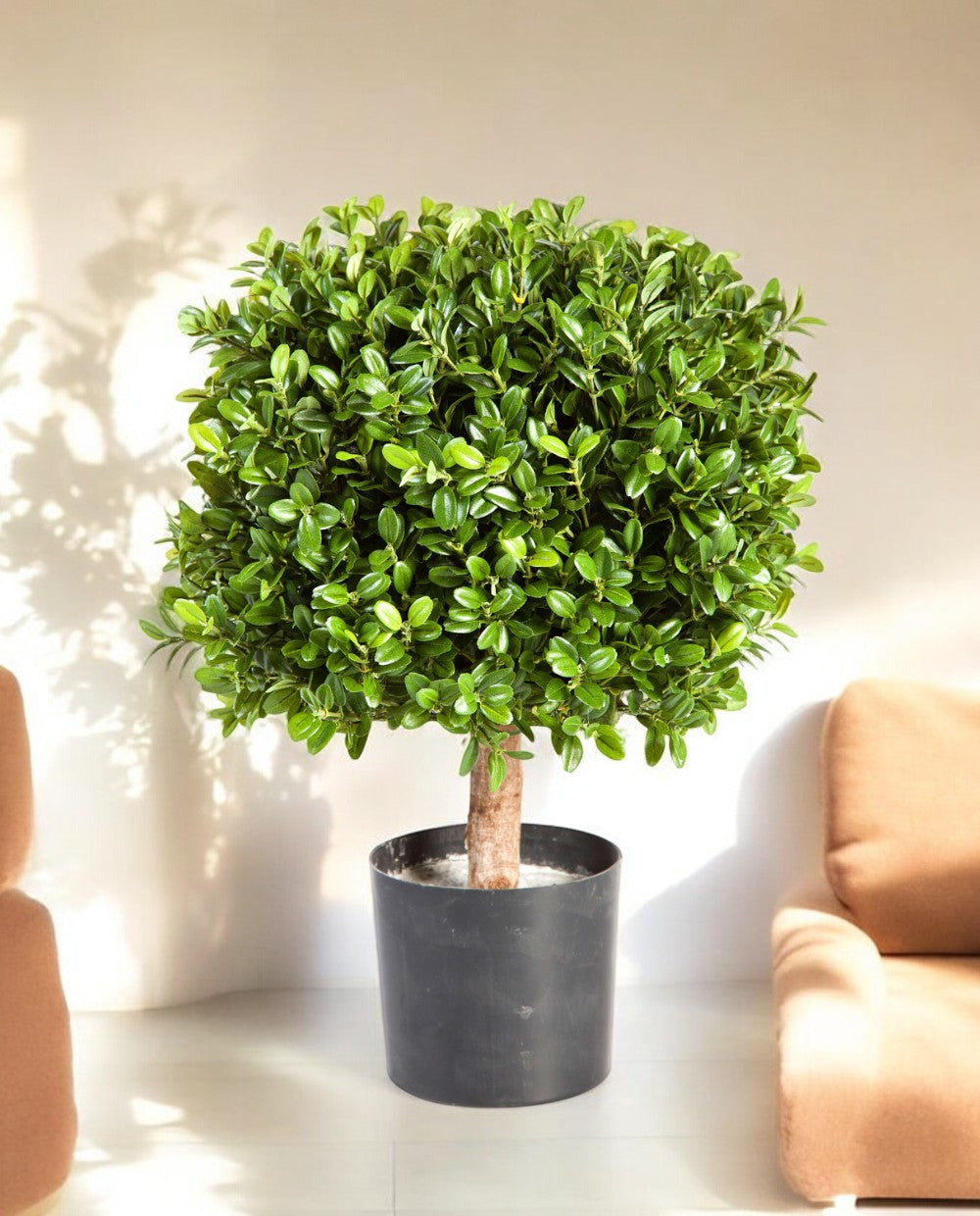 Buxus Square 45cm 8BUXUSS10 (2)