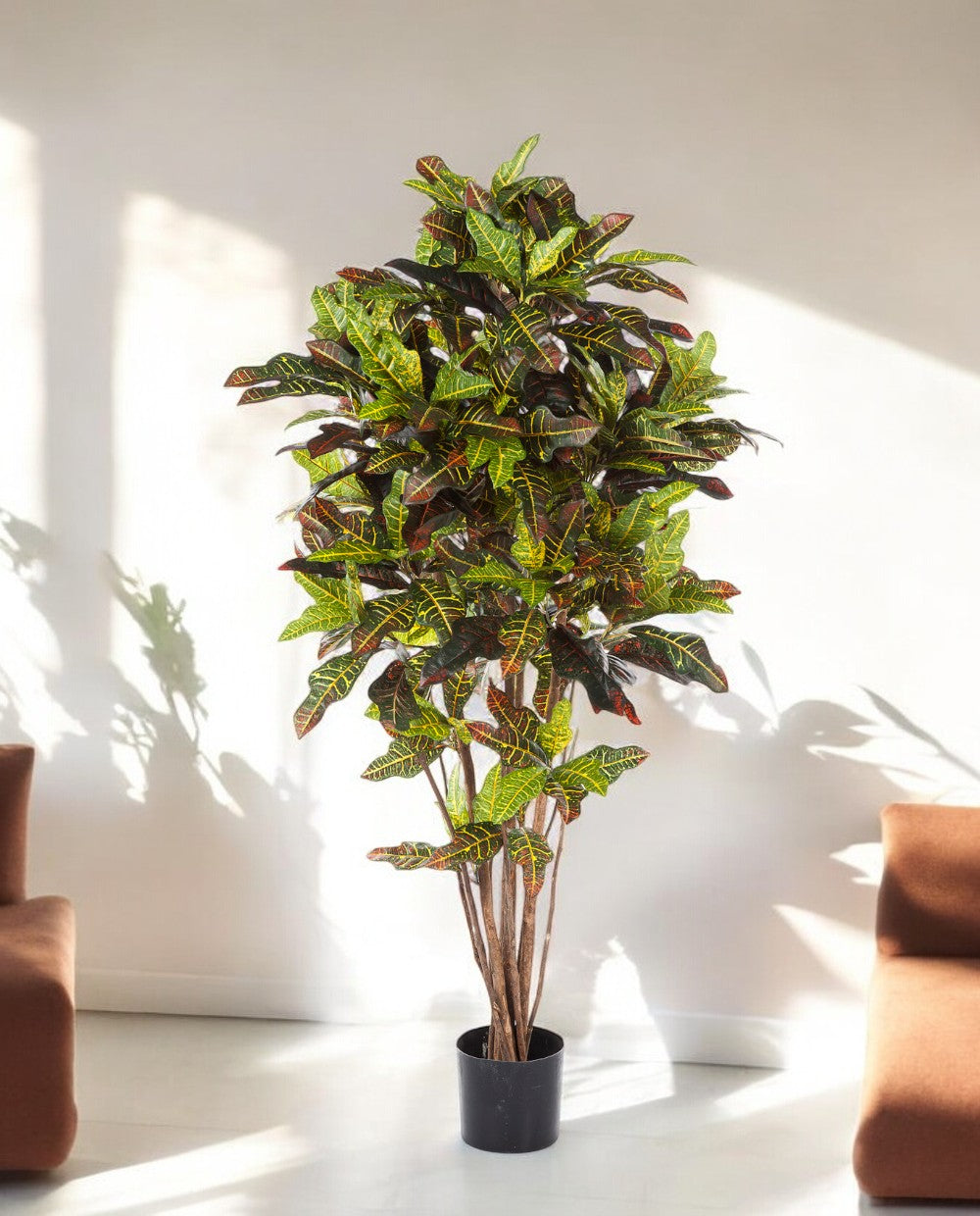 Croton Exellent Branched 120cm 8CREXVT10 (2)