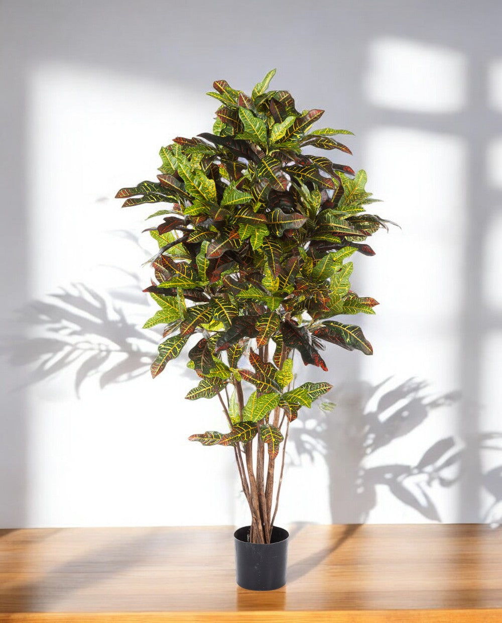 Croton Exellent Branched 120cm 8CREXVT10 (3)