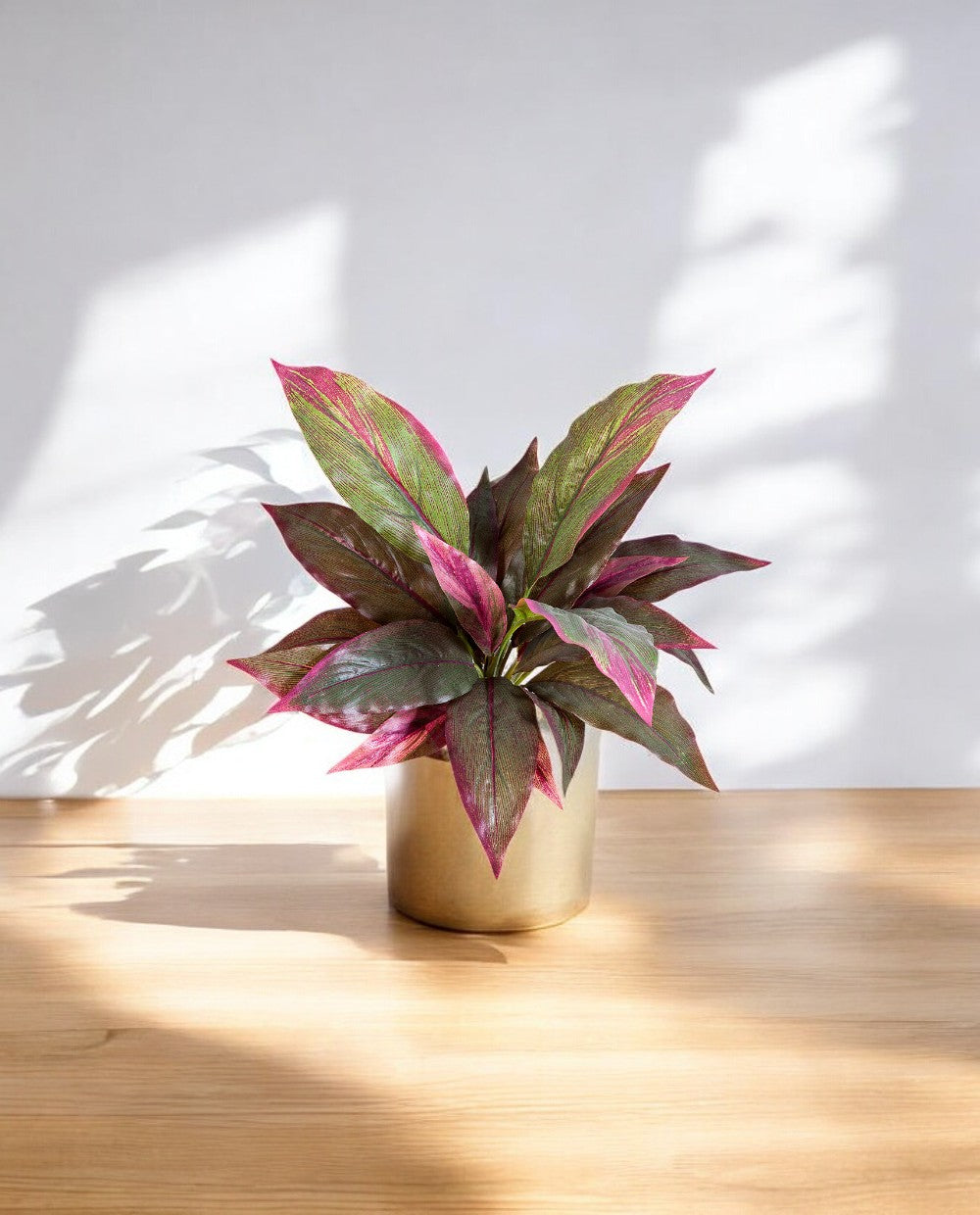 Cordyline Red_Green Bush 30cm 8FW01080R (3)