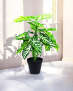 PHILO BUSH 45cm 8FW0113N(a) (2)