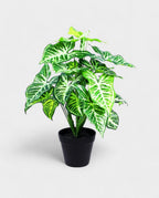 PHILO BUSH 45cm 8FW0113N(b) (3)