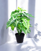 PHILO BUSH 45cm 8FW0113N(b)