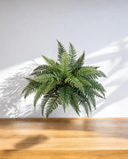 Fern Bush 80cm 8FW01327N (3)
