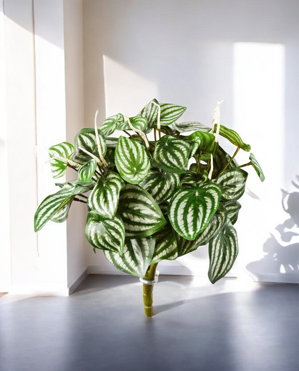 Watermelon Bush 20cm 8FW1098N (2)