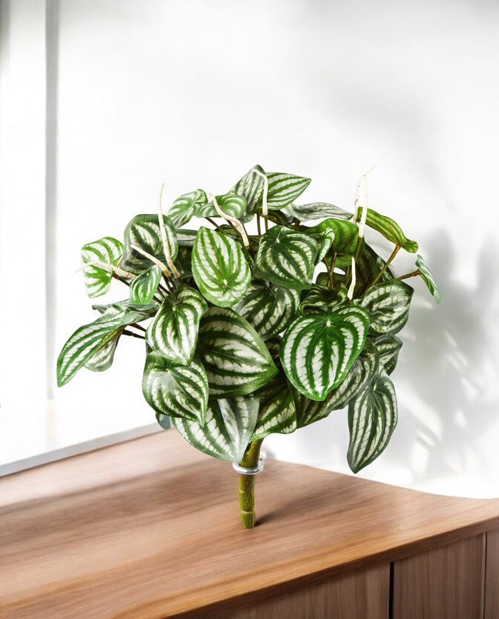 Watermelon Bush 20cm 8FW1098N (3)