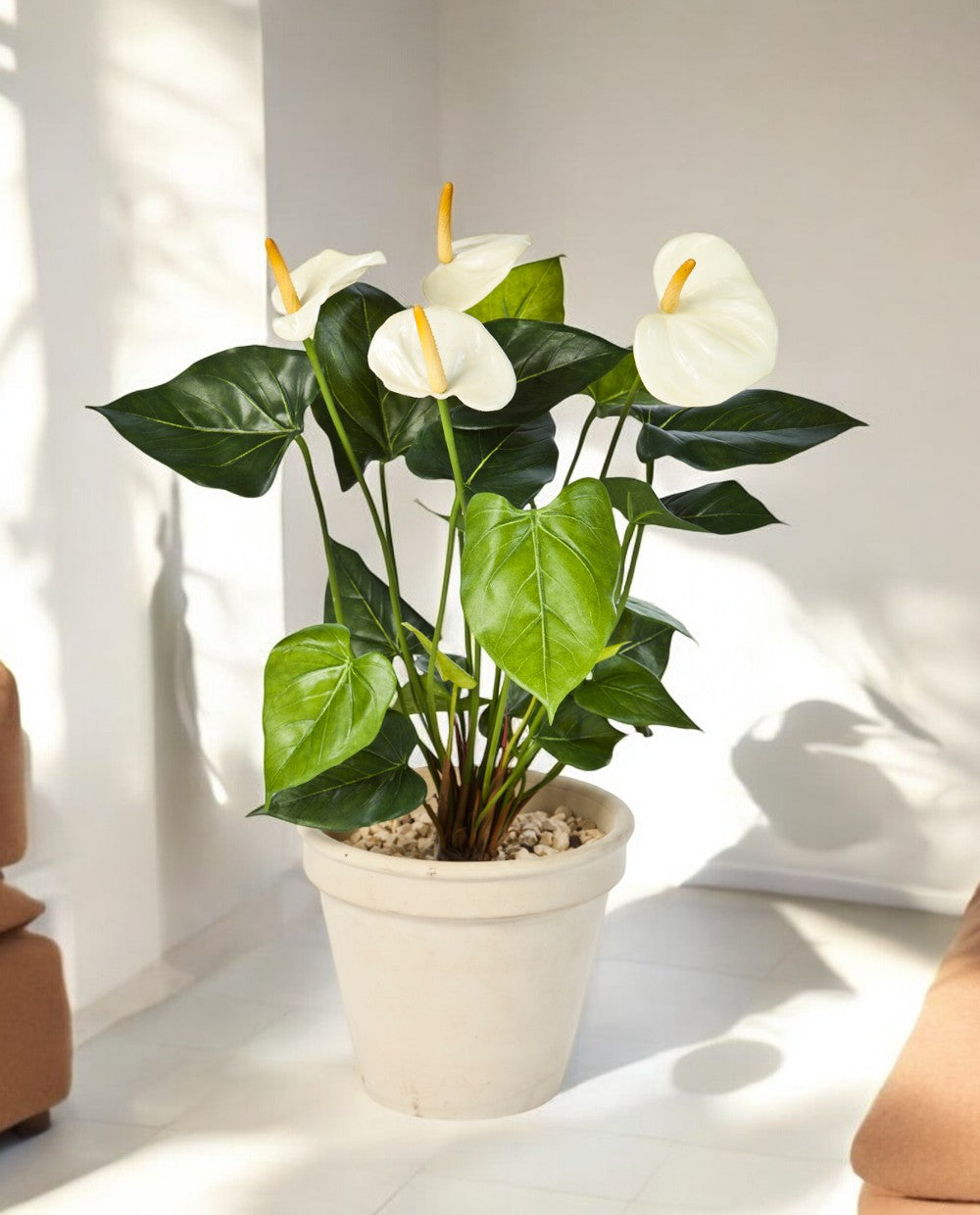 Anthurium Deluxe Bush Cream 56cm 8FW1108CR (2)