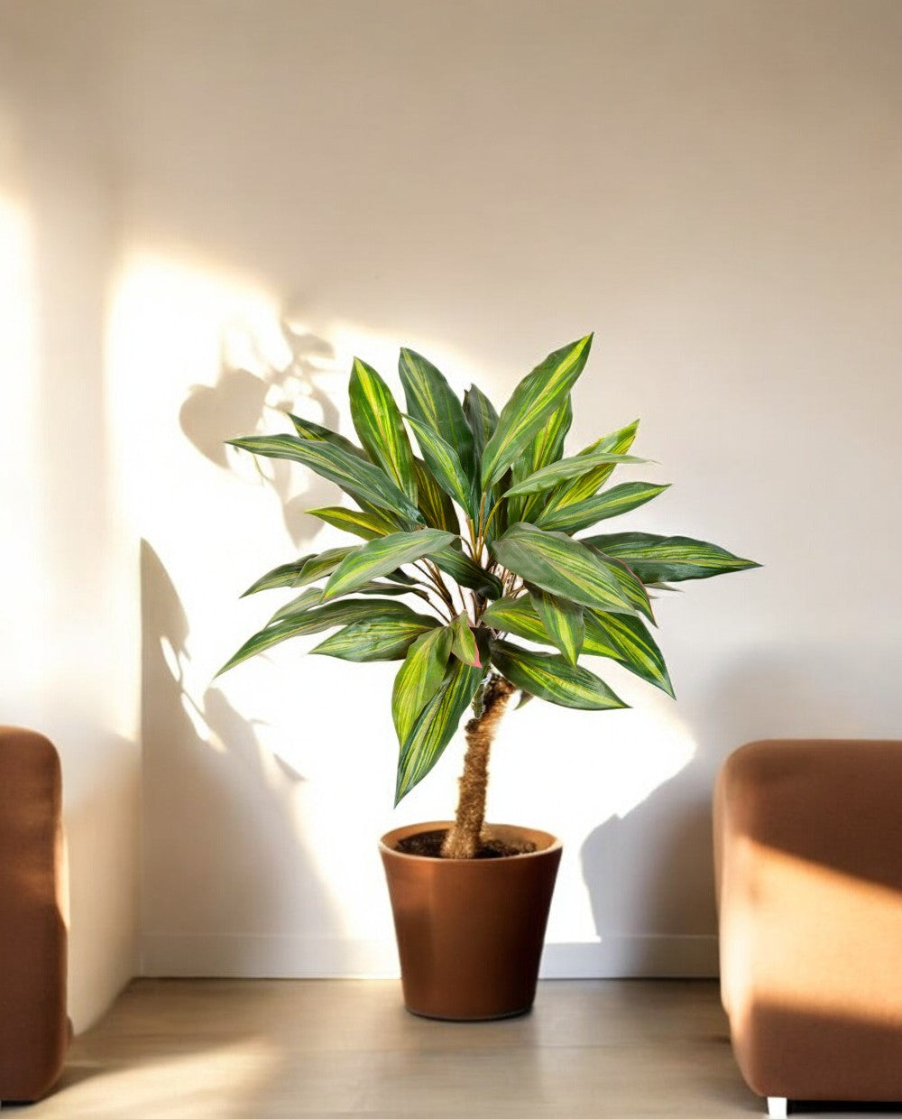 Dracaena Bush 48cm 8FW1117N (2)