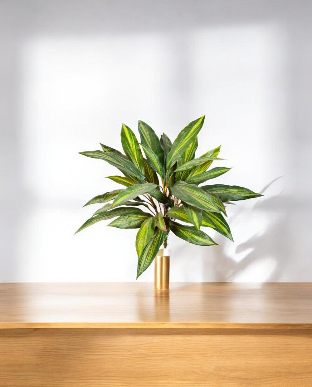 Dracaena Bush 48cm 8FW1117N (3)