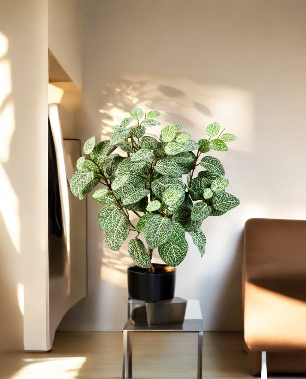 Fittonia 35cm 8FW1067N (2)