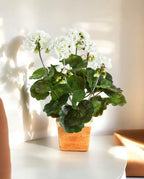 Garenium Cream Bush 33cm 8FW1156CR (2)