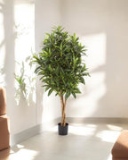 Croton Goldfinger Branched 125cm 8FW37404N (2)