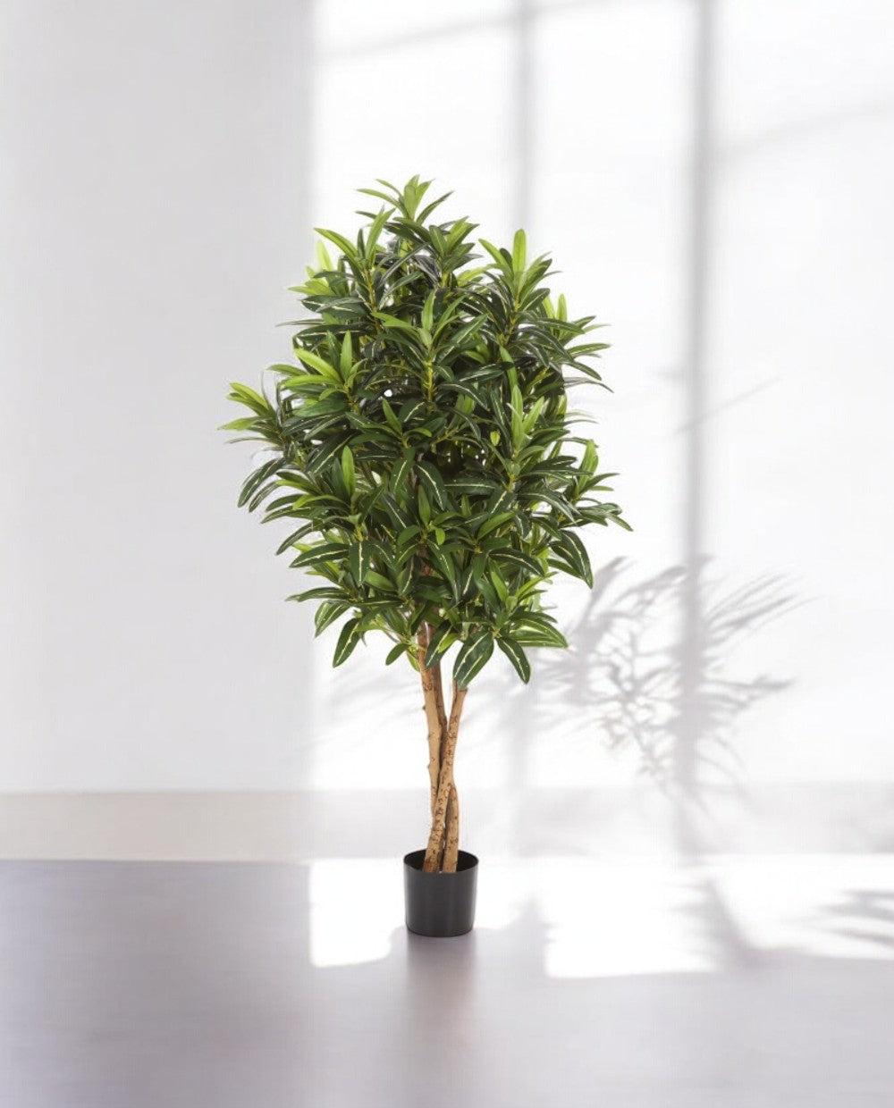 Croton Goldfinger Branched 125cm 8FW37404N