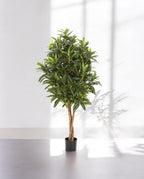 Croton Goldfinger Branched 125cm 8FW37404N