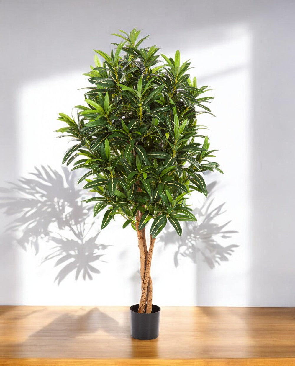 Croton Goldfinger Branched 155cm 8FW37405N (3)