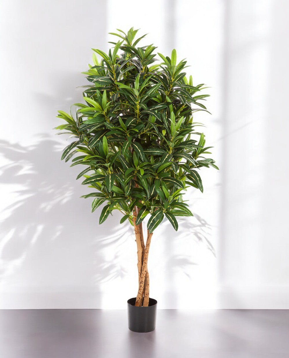 Croton Goldfinger Branched 155cm 8FW37405N