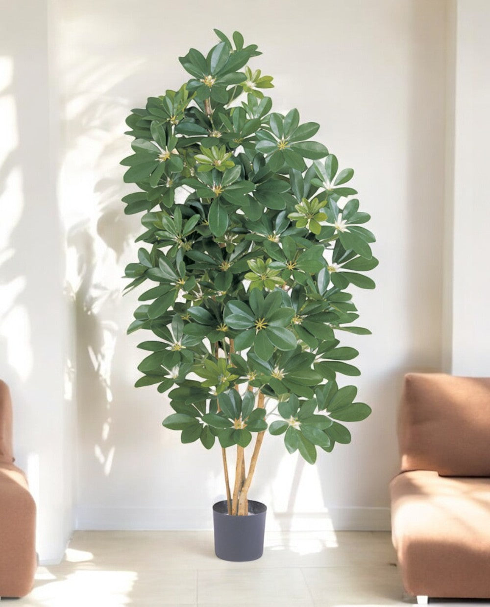 8FW38505N-Natural Schefflera 140 (2)