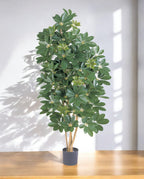 8FW38505N-Natural Schefflera 140 (3)