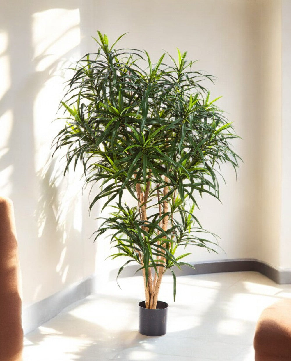 Dracaena Reflexa Anita Branched 120cm 8FW24204N (2)