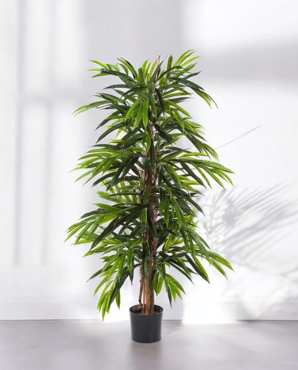 Longifolia Deluxe Tuft 120 and 150