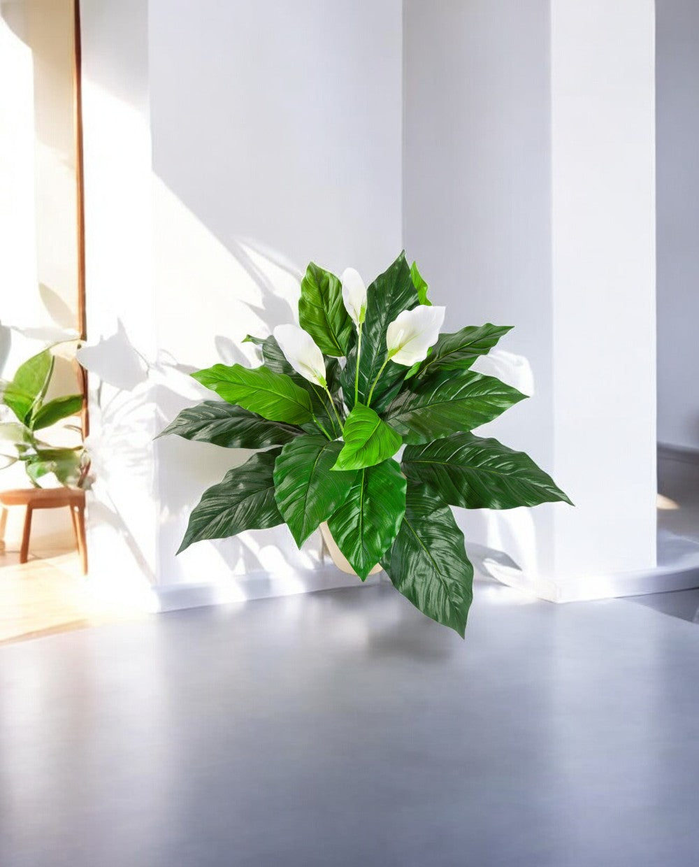 Spathiphyllum Bush White 71cm 8FW1017N (2)