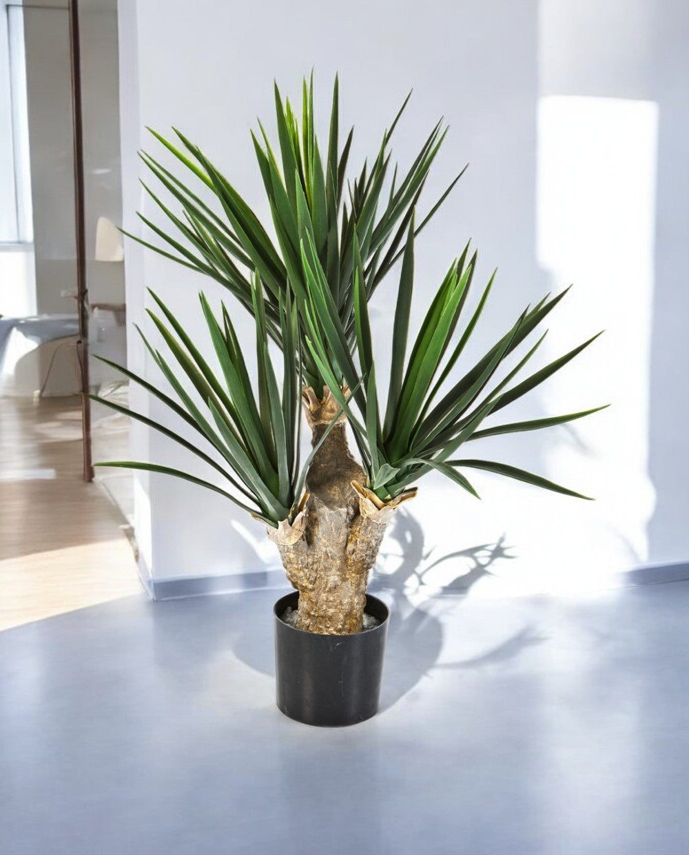 YUCCA BABY 3 BRANCHED 60cm 8YUBAVT10 (2)