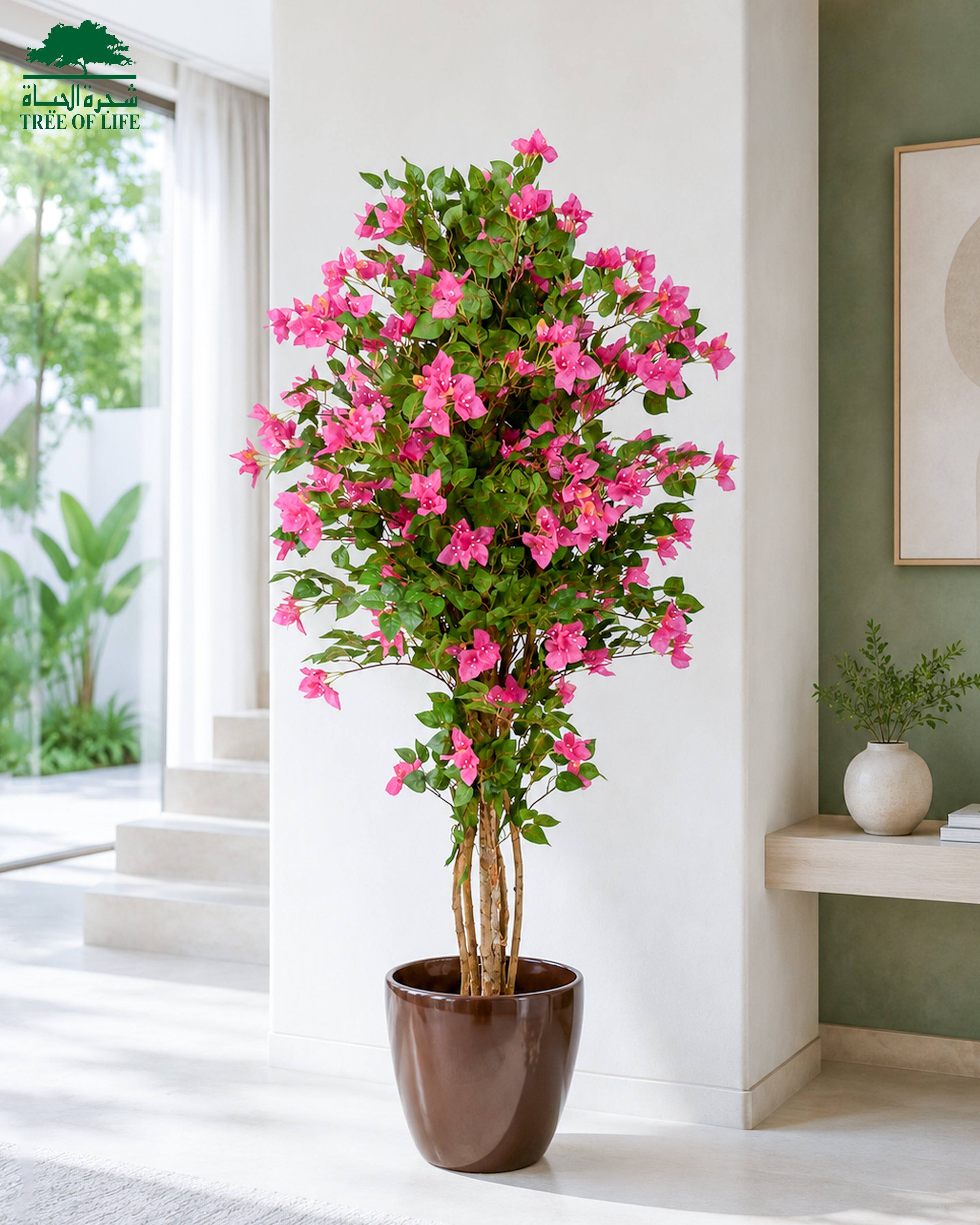 Azaléa 150 cm with Fiber Lesuza Classic Pot – Flash Sale Bundle Tree of Life Kuwait