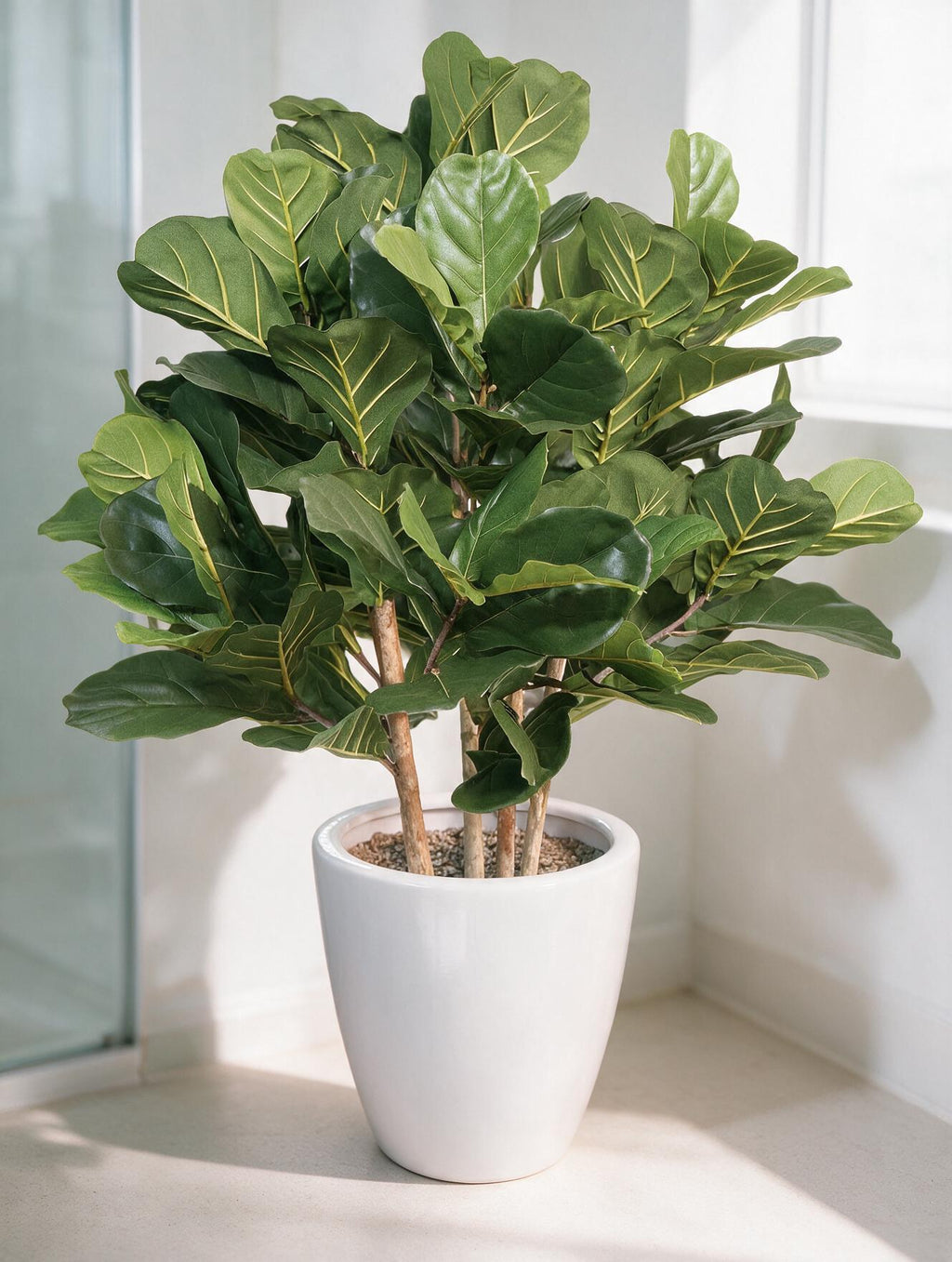 Fiddle Leaf Artificial Plant in Fibre pot 