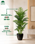Mini Palm 150 cm with Fiber Lesuza Classic Pot – Flash Sale Tree of Life Kuwait