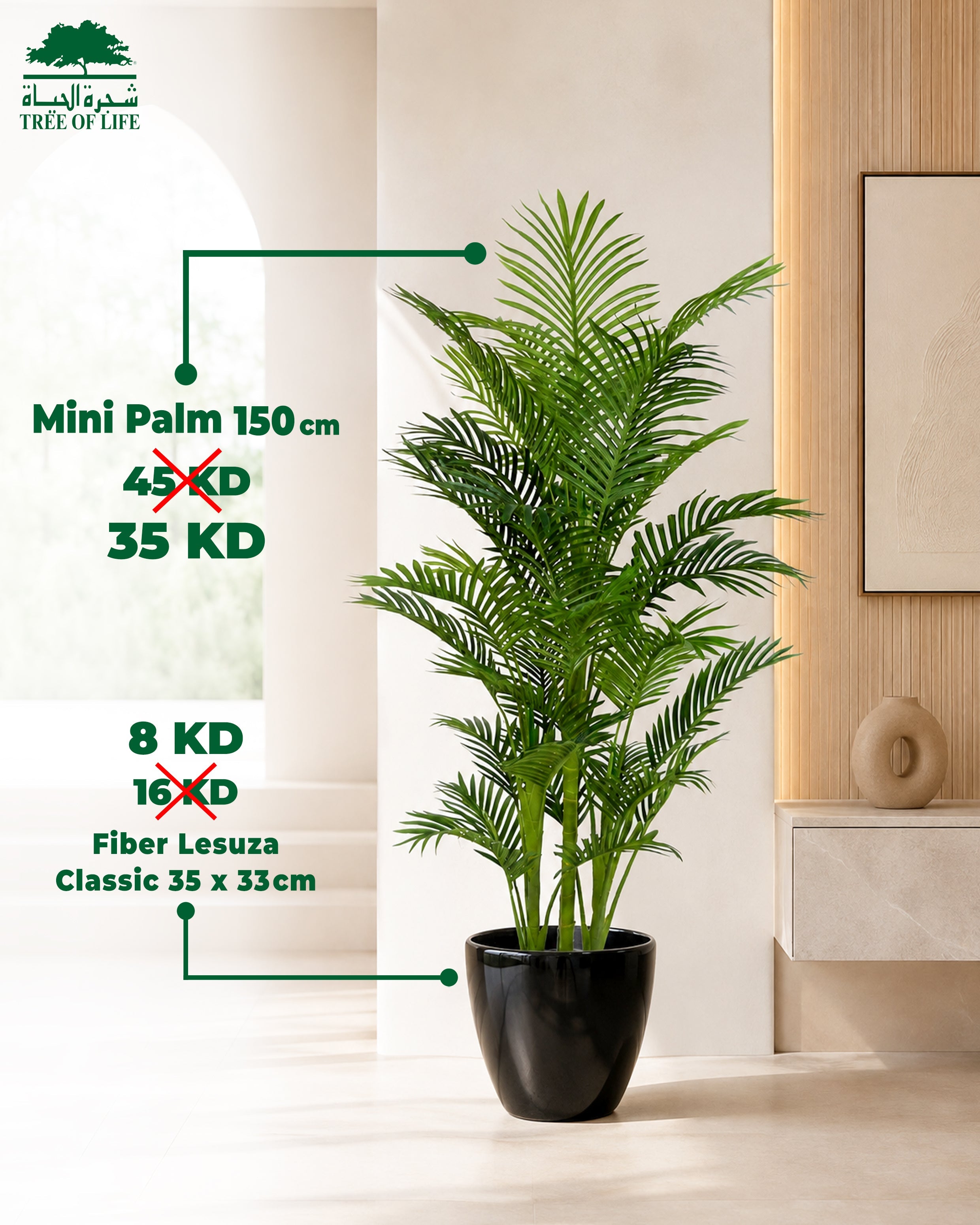 Mini Palm 150 cm with Fiber Lesuza Classic Pot – Flash Sale Tree of Life Kuwait