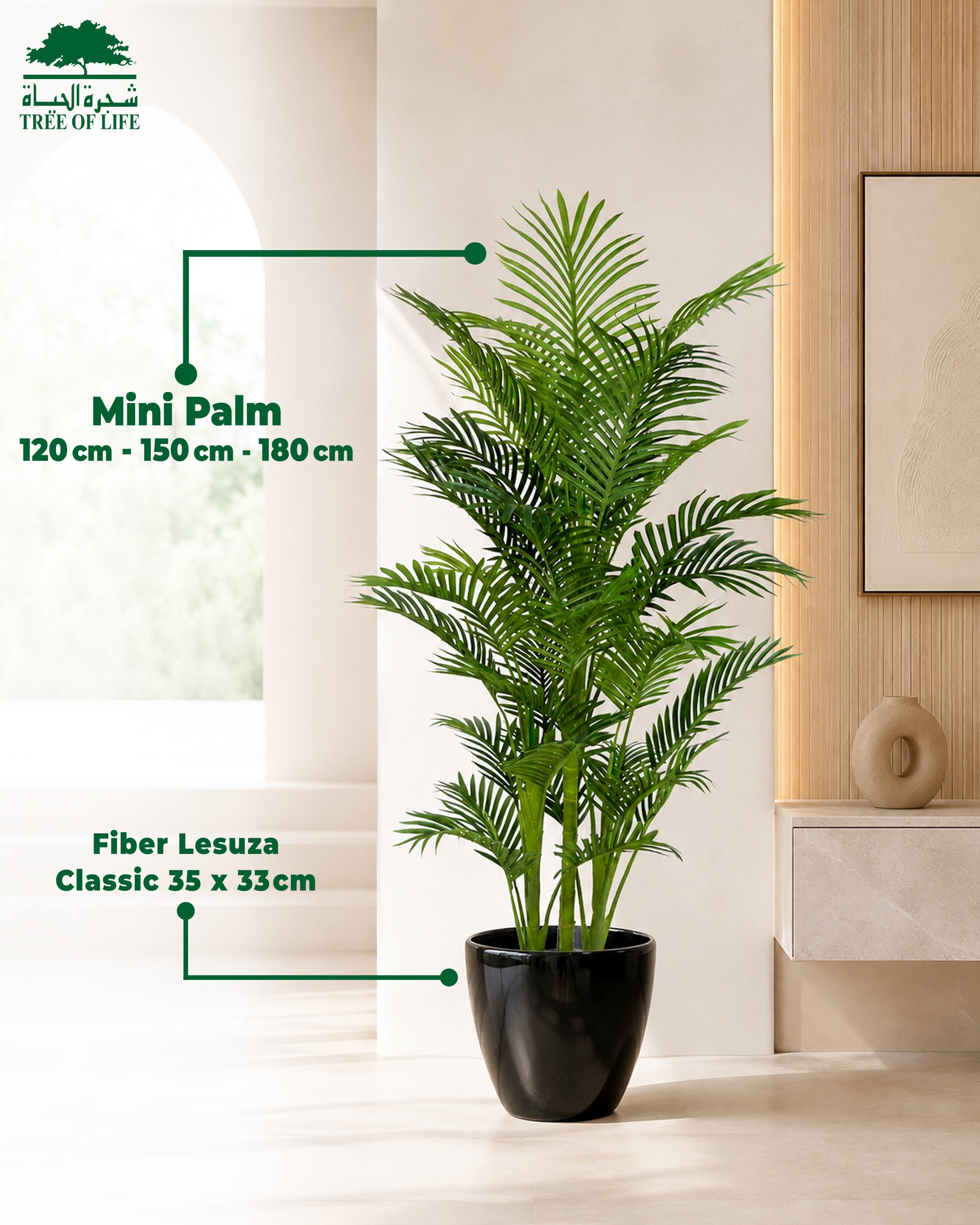 Mini Palm 150 cm with Fiber Lesuza Classic Pot – Flash Sale Tree of Life Kuwait