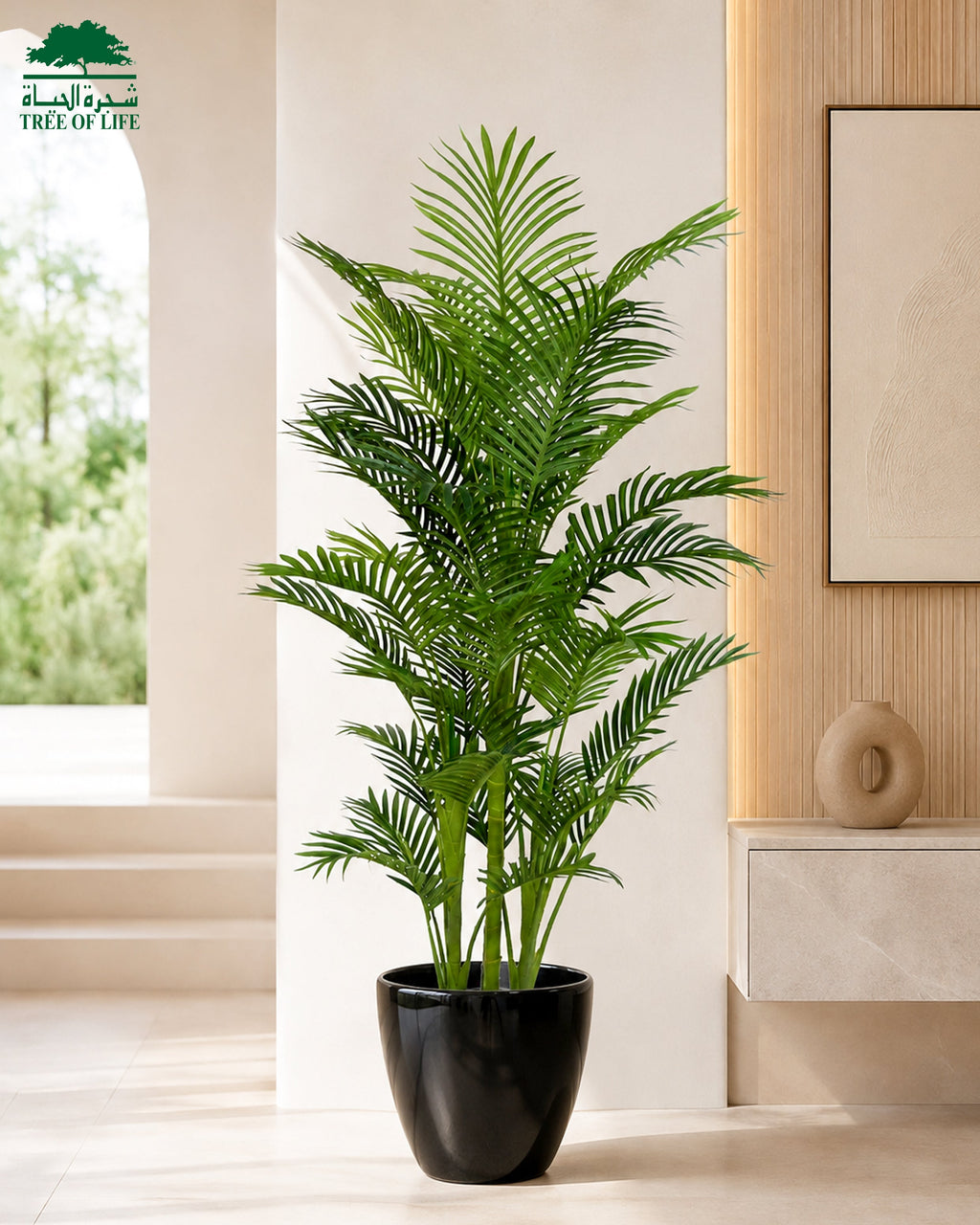Mini Palm 150 cm with Fiber Lesuza Classic Pot – Flash Sale Tree of Life Kuwait