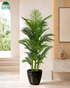 Mini Palm 150 cm with Fiber Lesuza Classic Pot – Flash Sale Tree of Life Kuwait
