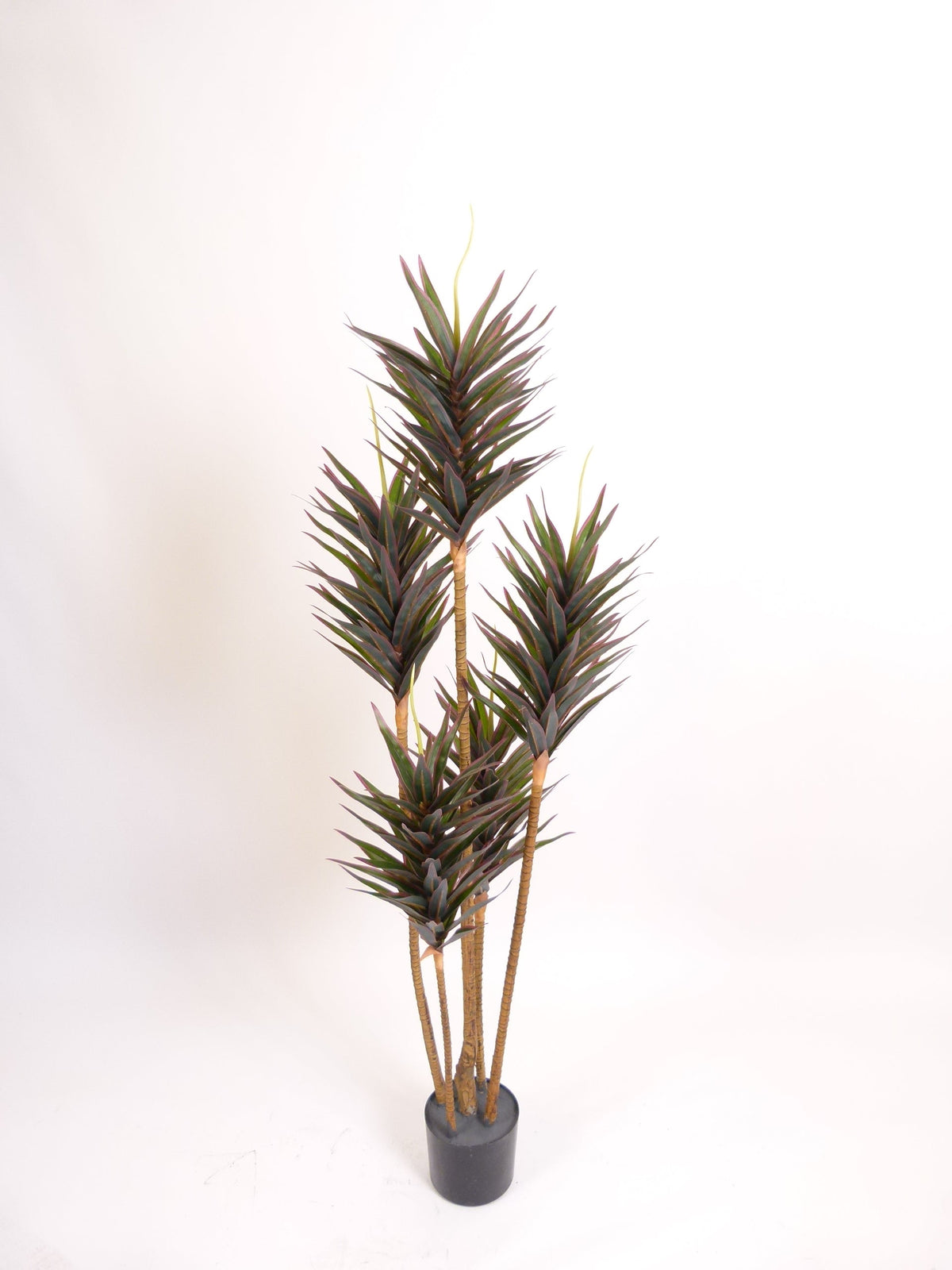 Small Leaf Dracaena artificial indoor plant with realistic green foliage for home and office décor in Kuwait.