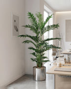 Vietnam Palm 150 cm with S.S Prime Matt Silver Pot – Flash Sale Tree of Life Kuwait