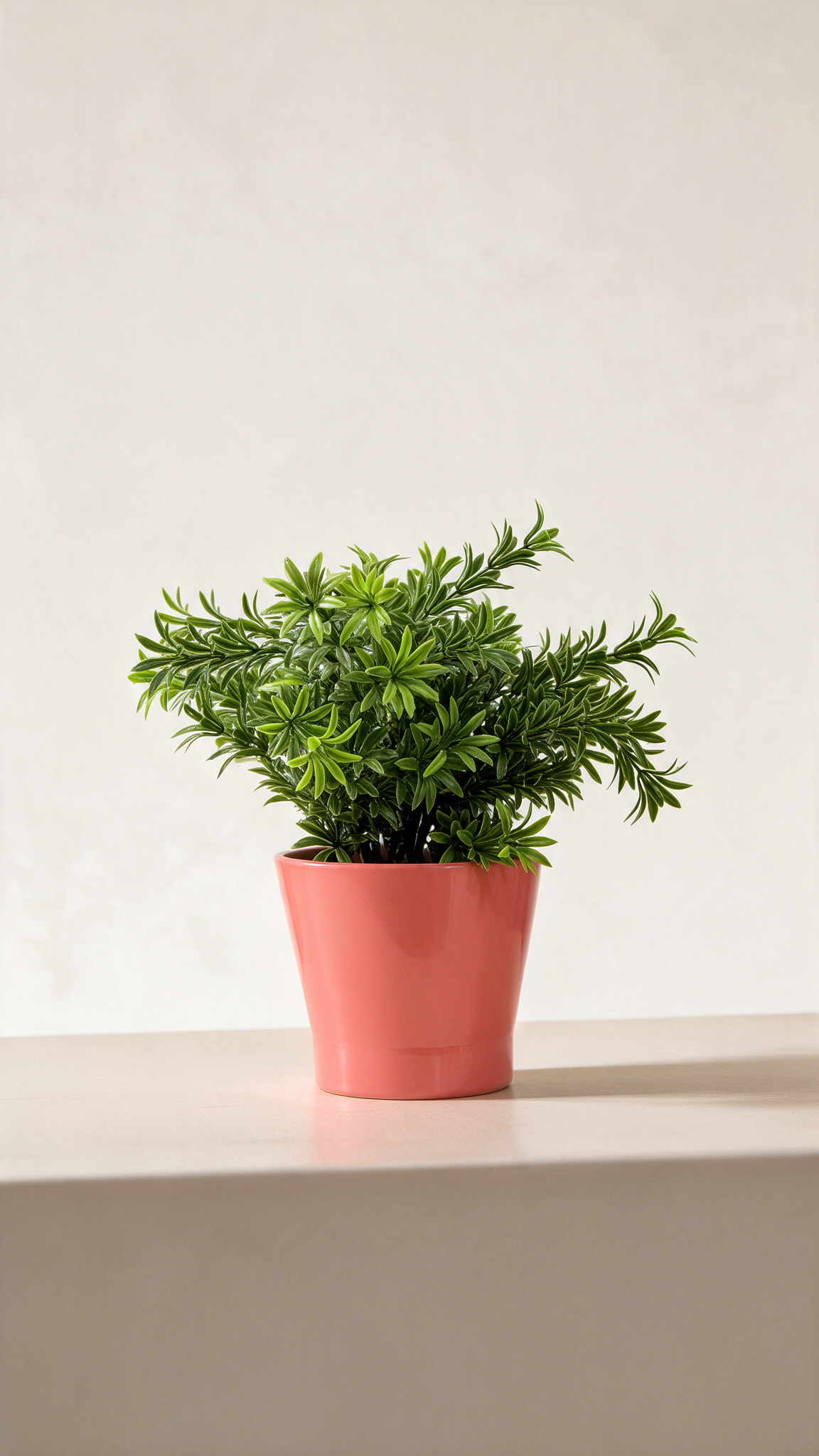 Chrysanthemum with Ceramic Table Top Plant (Copy) Tree of Life Kuwait