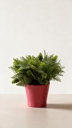 Pine cone Table Top Tree of Life Kuwait