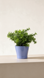 Chrysanthemum with Ceramic Table Top Plant (Copy) Tree of Life Kuwait