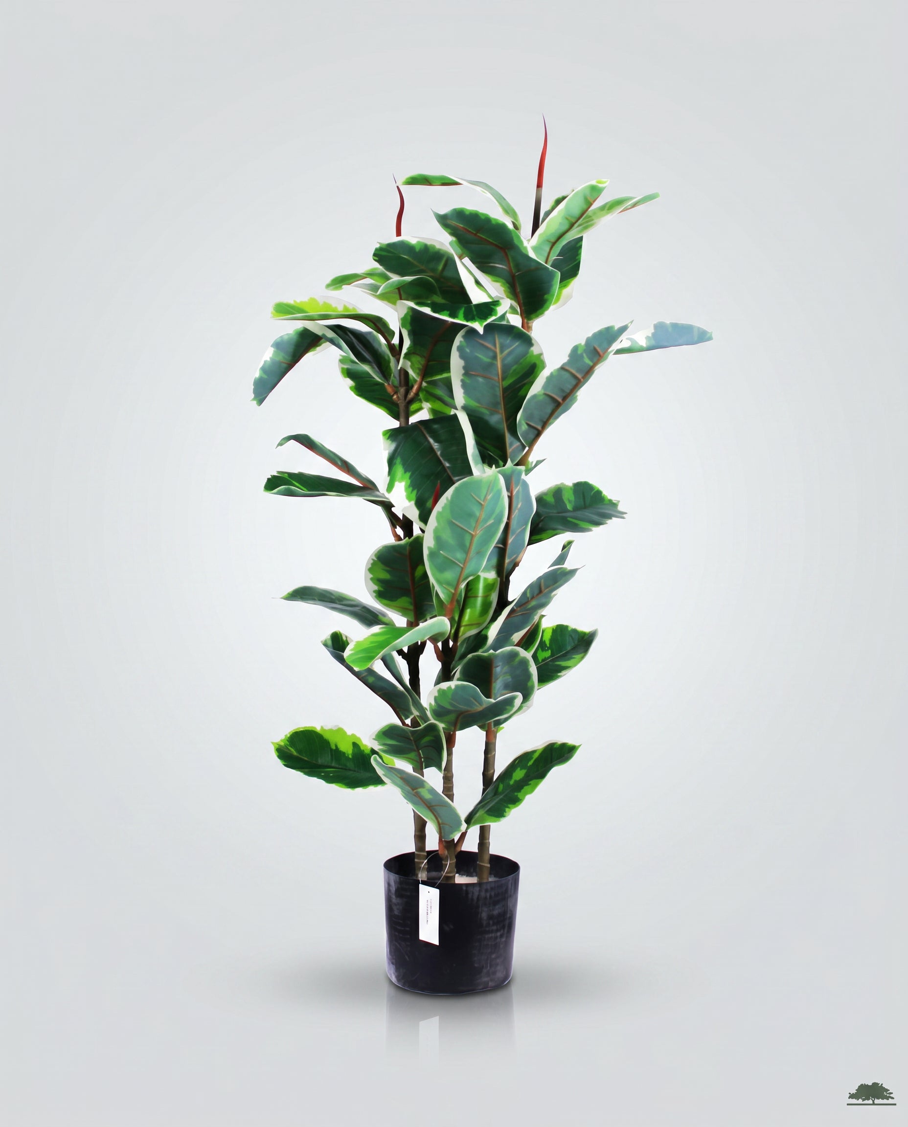 Elastic Rubber Tree Artificial Plant Kuwait Tree of Life Kuwait