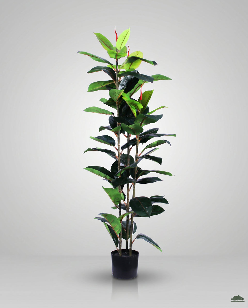 Elastic Rubber Tree Artificial Plant Kuwait Tree of Life Kuwait