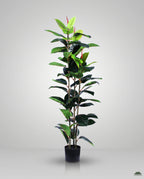 Elastic Rubber Tree Artificial Plant Kuwait Tree of Life Kuwait