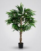 Longfolic Ficus Artificial Tree Kuwait Tree of Life Kuwait