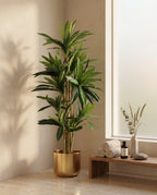 Dracaena Sanderiana Artificial Plant Kuwait Tree of Life Kuwait