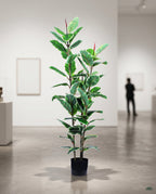 Elastic Rubber Tree Artificial Plant Kuwait Tree of Life Kuwait
