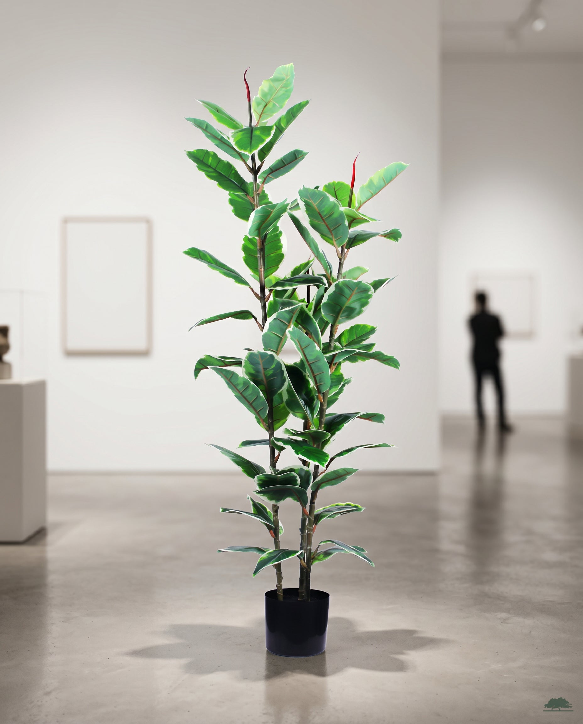 Elastic Rubber Tree Artificial Plant Kuwait Tree of Life Kuwait