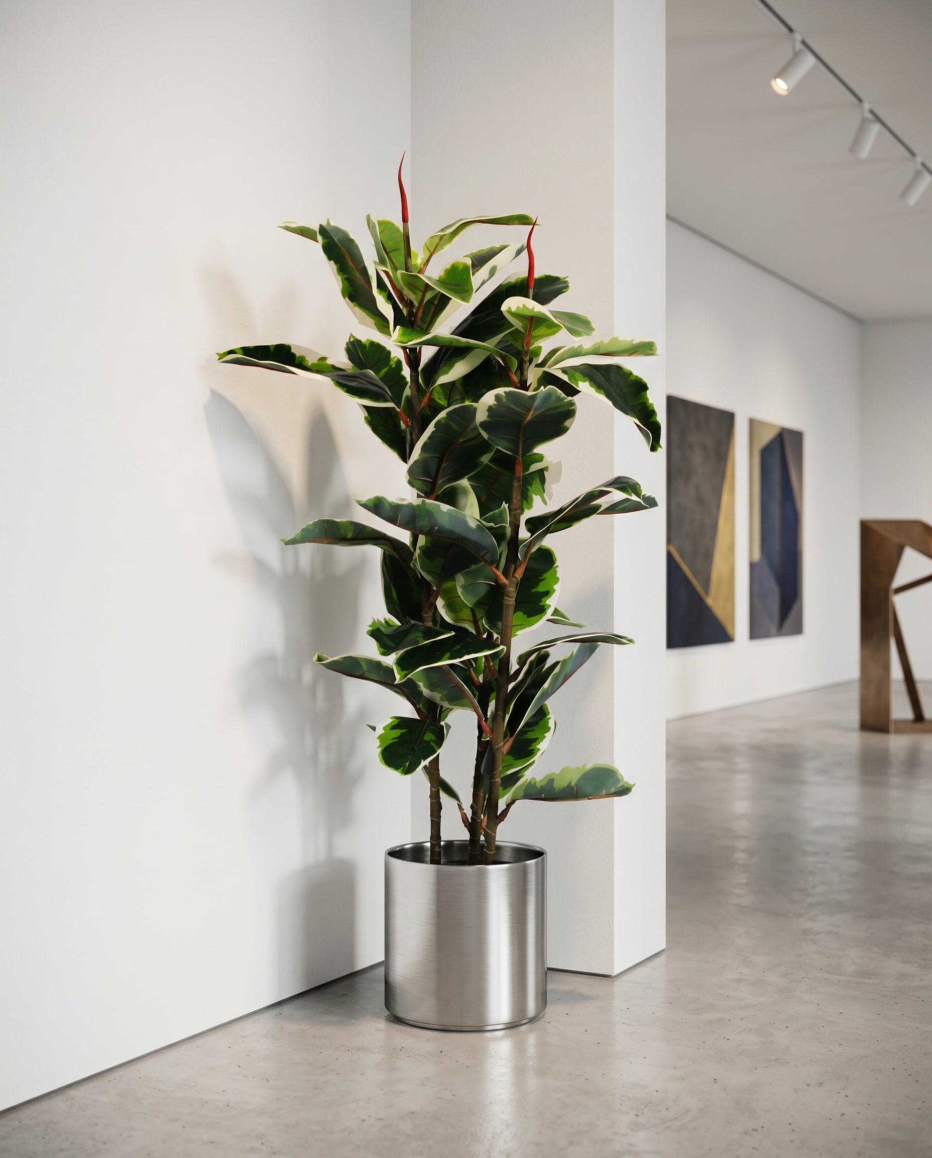 Elastic Rubber Tree Artificial Plant Kuwait Tree of Life Kuwait