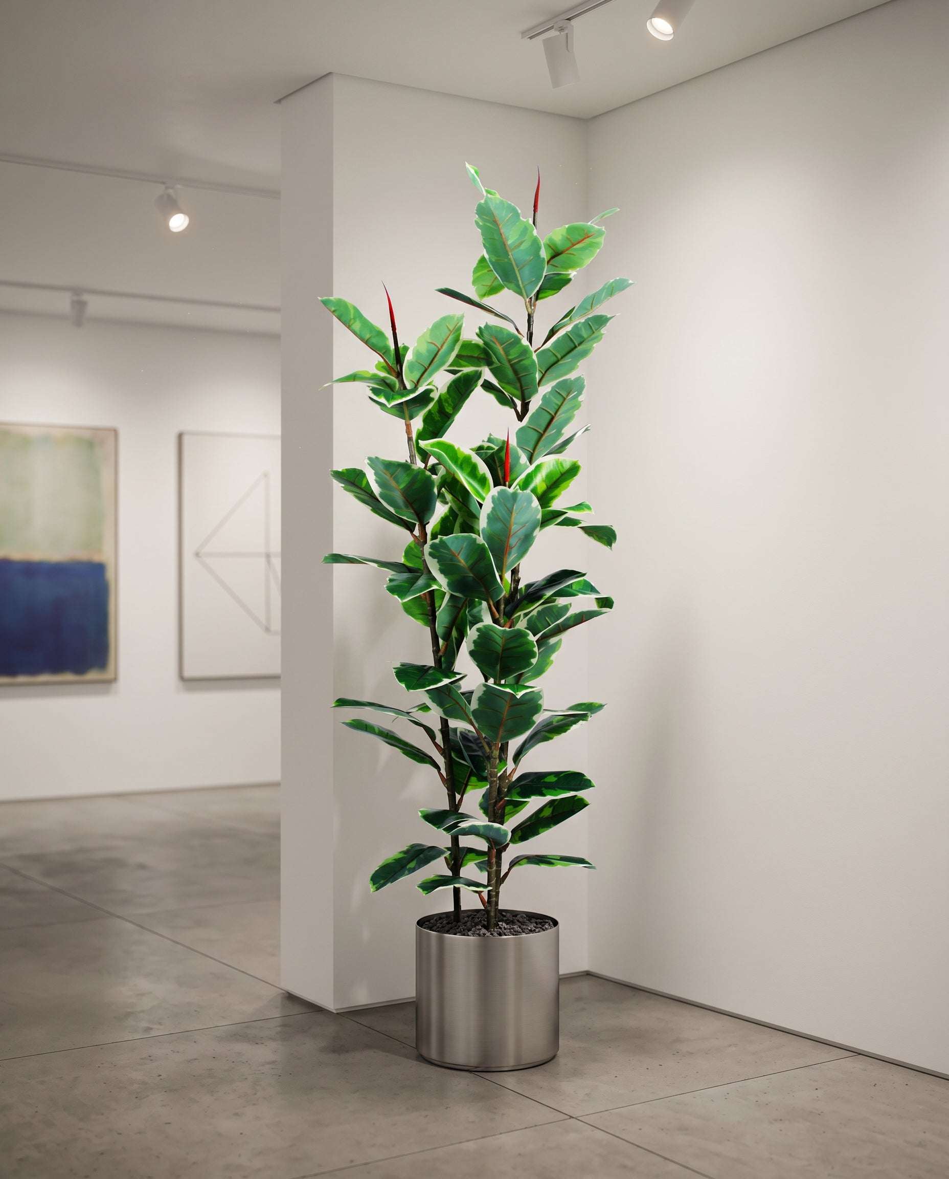 Elastic Rubber Tree Artificial Plant Kuwait Tree of Life Kuwait