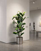 Elastic Rubber Tree Artificial Plant Kuwait Tree of Life Kuwait